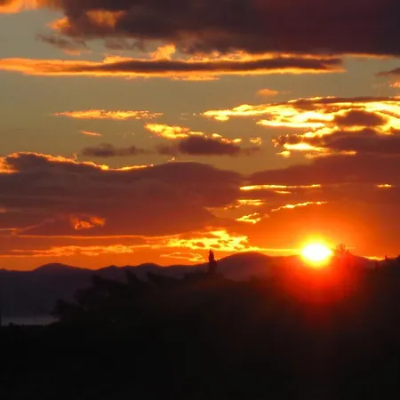 게스트하우스 Saga 4*